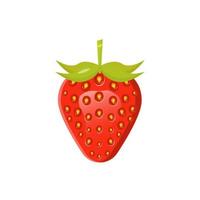 strawberry fruit illustration realistic on white background. strawberry vector isolated design