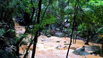 wang sao perizoma cascata nella foresta pluviale tropicale koh samui thailandia. video