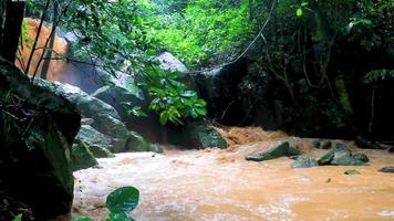 cascade wang sao thong dans la forêt tropicale humide de koh samui en thaïlande. video