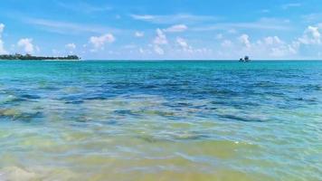 turchese acqua chiara massi pietre spiaggia messicana del carmen messico. video