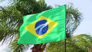 Brazilian flag with palm trees and blue sky background Brazil.