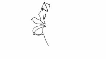 Frauengesicht einzeilige Zeichnung mit Blumen durchgehende Strichzeichnungen ein Blumenstrauß im Kopf einer Frau, einzeilige Naturkosmetik einfache Schwarz-Weiß-Malerei-Kunstwerke video