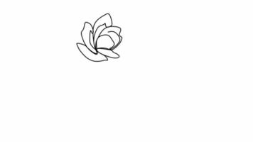 woman face single line drawing with flowers continuous line art a bouquet of flowers in a woman's head, single line art natural cosmetics simple black and white painting artwork video