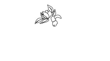 rosto de mulher desenho de linha única com flores arte em linha contínua um buquê de flores na cabeça de uma mulher, arte em linha única cosméticos naturais simples pintura em preto e branco arte