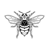 Bee Skull Line Art Illustration vector