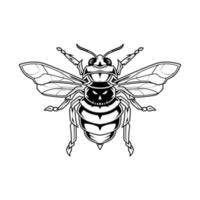 Ilustración de arte de línea de cráneo de abeja vector