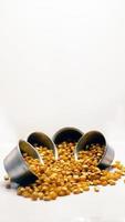 corn kernels scattered on a white background jpg file format photo