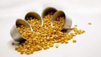 corn kernels scattered on a white background jpg file format photo