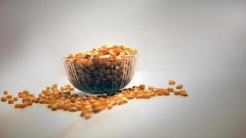 corn kernels scattered on a white background jpg file format photo