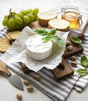 Close up view of camembert cheese photo