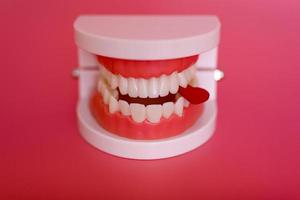 divertido modelo dental de ortodoncia y corazón rojo sobre fondo rosa. modelo de demostración de dientes de diferentes tipos de aparatos de ortodoncia o aparatos ortopédicos. foto