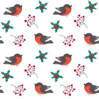 Seamless pattern with bullfinch, holly leaves and sprig of red berries. vector