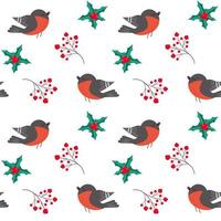 Seamless pattern with bullfinch, holly leaves and sprig of red berries. vector