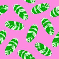 spotted banana leaf background with pink background vector