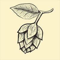 illustration of beer fruit vector