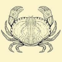 illustration of crab in engraving style vector