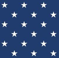 Star pattern design vector