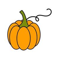 Orange pumpkin on a white background. Symbol of Halloween and Thanksgiving. Vector illustration