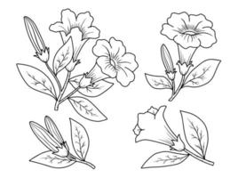 Flowers line art aarangement vector