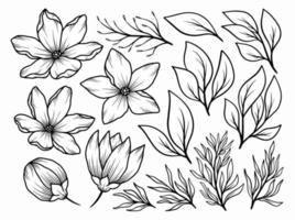 Flower line art arrangement vector