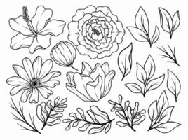 Flower line art arrangement vector