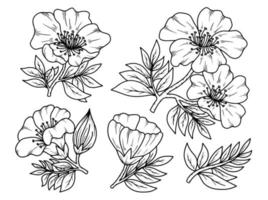 Flower line art arrangement vector