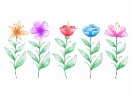 Set of botanical flowers watercolor vector