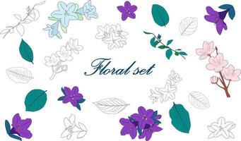 Floral set. Flowers and leaves in color and outline vector