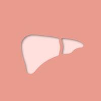 icono de corte de papel de hígado. glándula digestiva. vector silueta ilustración aislada