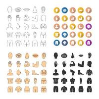 Human body parts icons set. Anatomy. Healthcare. Linear, flat design, color and glyph styles. isolated vector illustrations