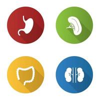 Internal organs flat design long shadow glyph icons set. Stomach, kidneys, large intestine, spleen. Vector silhouette illustration