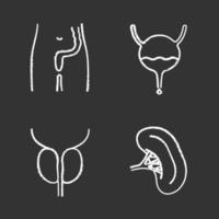 Internal organs chalk icons set. Rectum and anus, urinary bladder, spleen, prostate gland. Isolated vector chalkboard illustrations