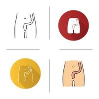 Rectum and anus icon. Last segment of large bowel. Gastrointestinal tract. Flat design, linear and color styles. Isolated vector illustrations