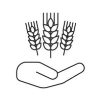 Open hand with wheat ears linear icon. Farming. Agriculture. Thin line illustration. Growing wheat. Contour symbol. Vector isolated outline drawing