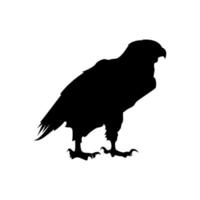 eagle silhouette, standing eagle, walking eagle vector