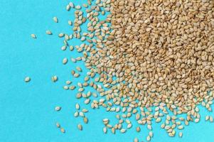 Sesame seeds as background, Close-up, Texture photo