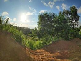 beautiful landscape and sunny evening sky photo