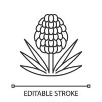 Yucca linear icon. Exotic plant in blossom. Hyacinth. Thin line illustration. Contour symbol. Vector isolated outline drawing. Editable stroke