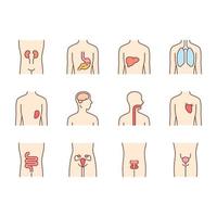 Healthy human organs color icons set. Throat and lungs in good health. Functioning heart and urinary bladder. Wholesome liver. Internal body parts in good shape. Isolated vector illustrations