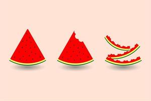 Cute watermelon slice eating steps vector