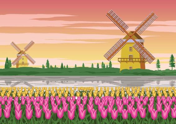 tulip garden,famous symbol of Holland and wind mill around with beautiful nature,vintage color