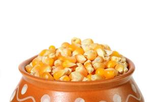 Close-up of Dried corn in clay pot photo