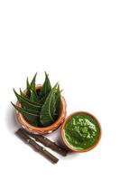 Hojas de neem medicinales con pasta y ramitas sobre fondo blanco. foto