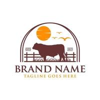 logo design angus cow on grass and sun vector