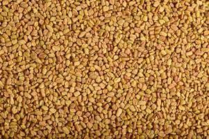 Fenugreek seeds as background. Close up texture photo