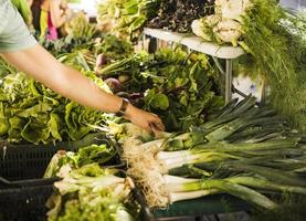male consumer s hand choosing green fresh vegetable market stall photo