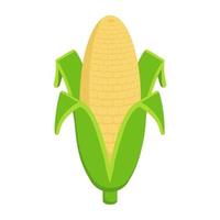 Corn Cob Concepts vector