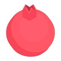 Trendy Pomegranate Concepts vector