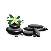 vector piedras realistas sobre fondo blanco. guijarros con flores de plumeria. plantilla para salón de spa, cosmética, publicidad de masajes.