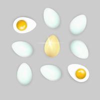 conjunto de huevos de gallina realistas de color blanco, oscuro y marrón claro. ilustración vectorial aislado sobre fondo blanco vector